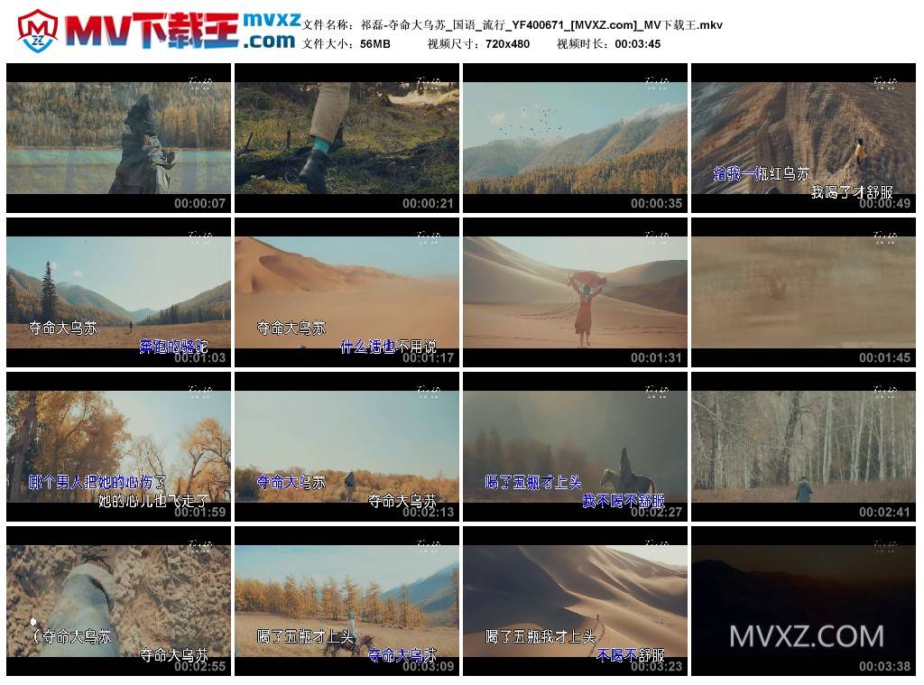 祁磊-夺命大乌苏_国语_流行_YF400671